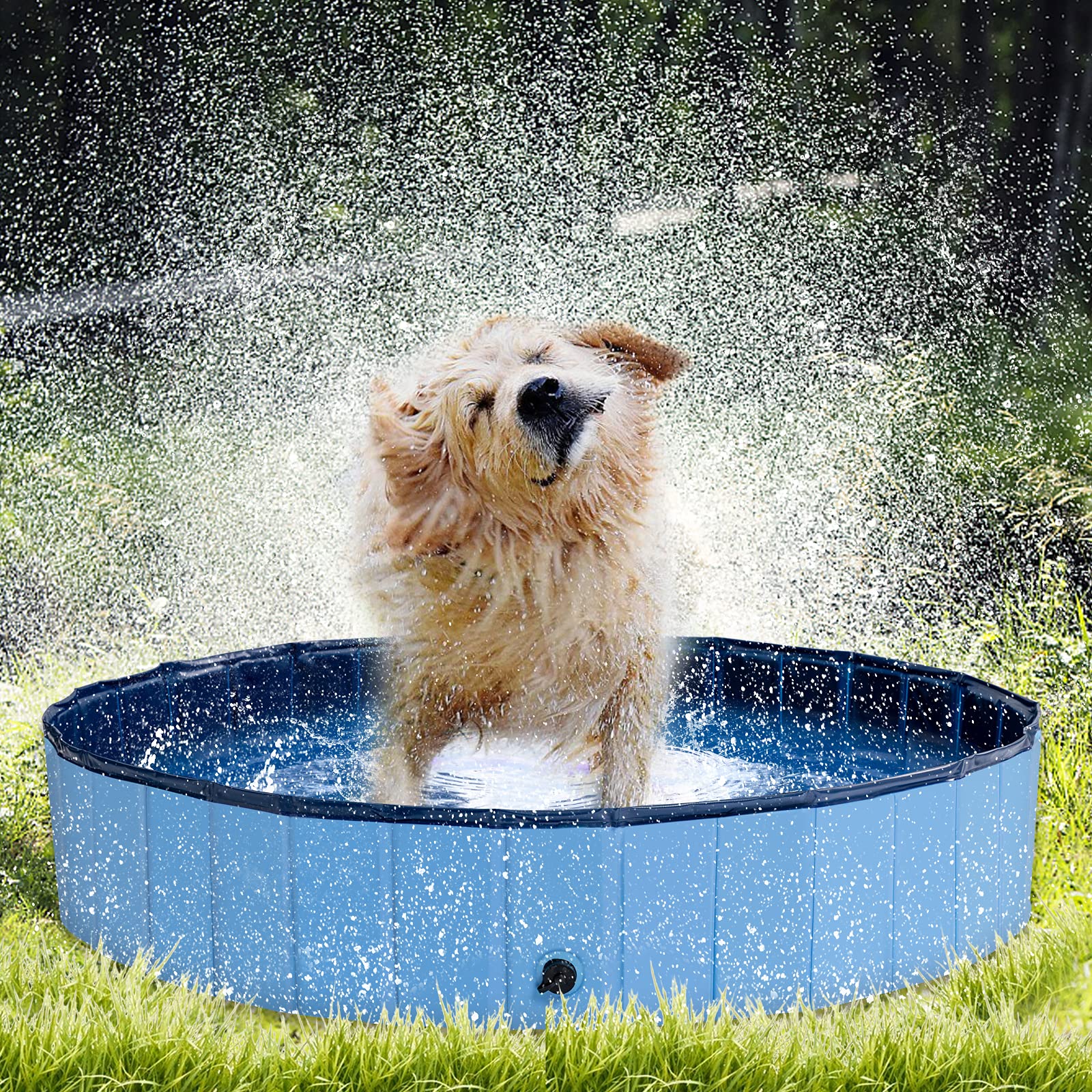 How Do You Keep A Dog Pool Clean