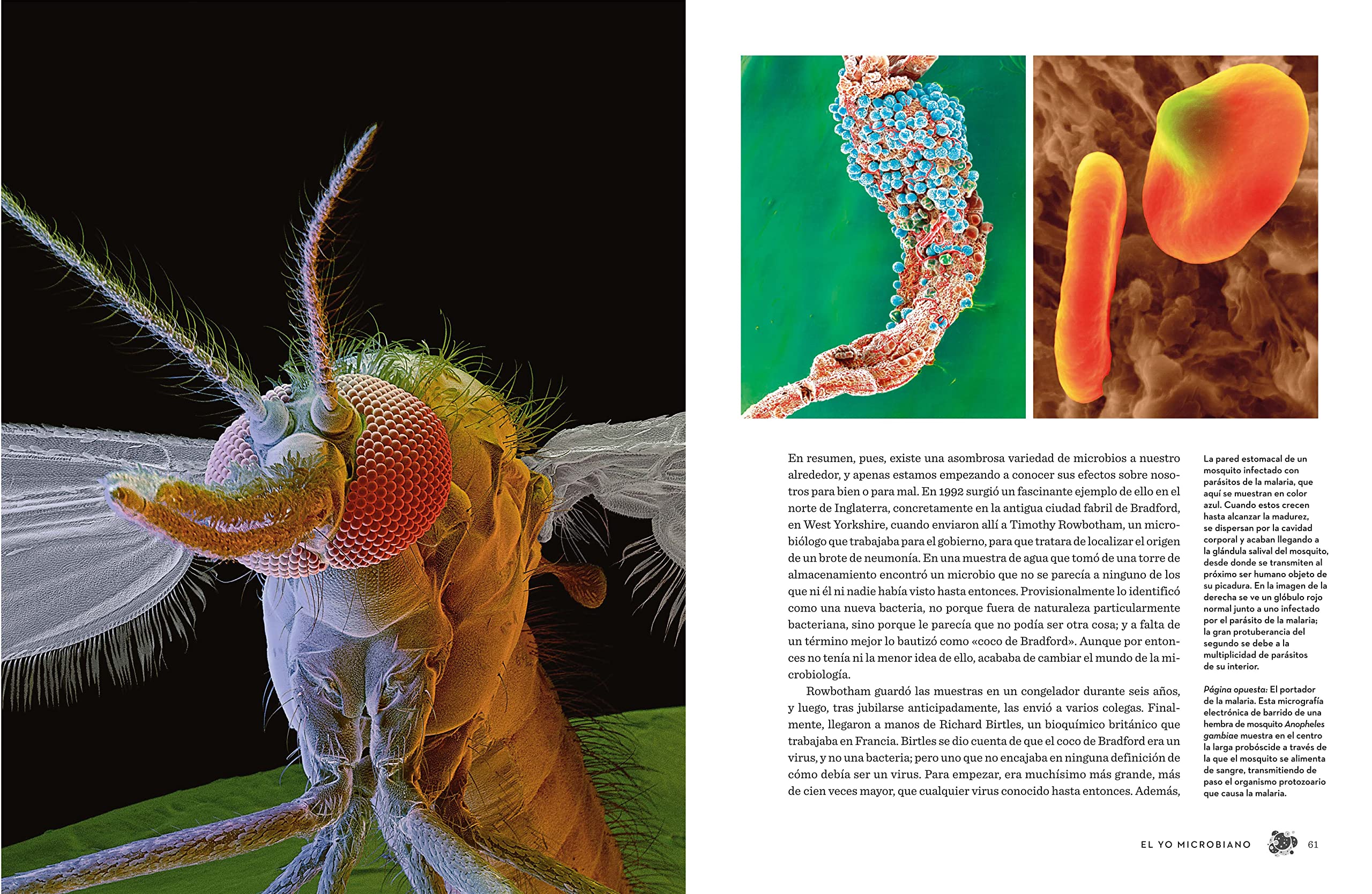 El cuerpo humano (edición ilustrada): Una guía para ocupantes (Divulgación)