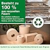 Tork Matic 290099 Roll Hand Towel Natural H1 Advanced Quality Tear-Resistant 2-Ply 6 x 150 m