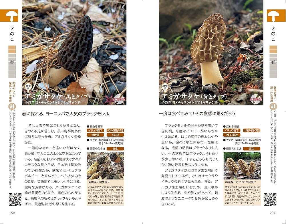 石川県版　山菜・木の実ガイドブック 石川県版 山菜・木の実ガイドブック 石川県版 山菜・木の実