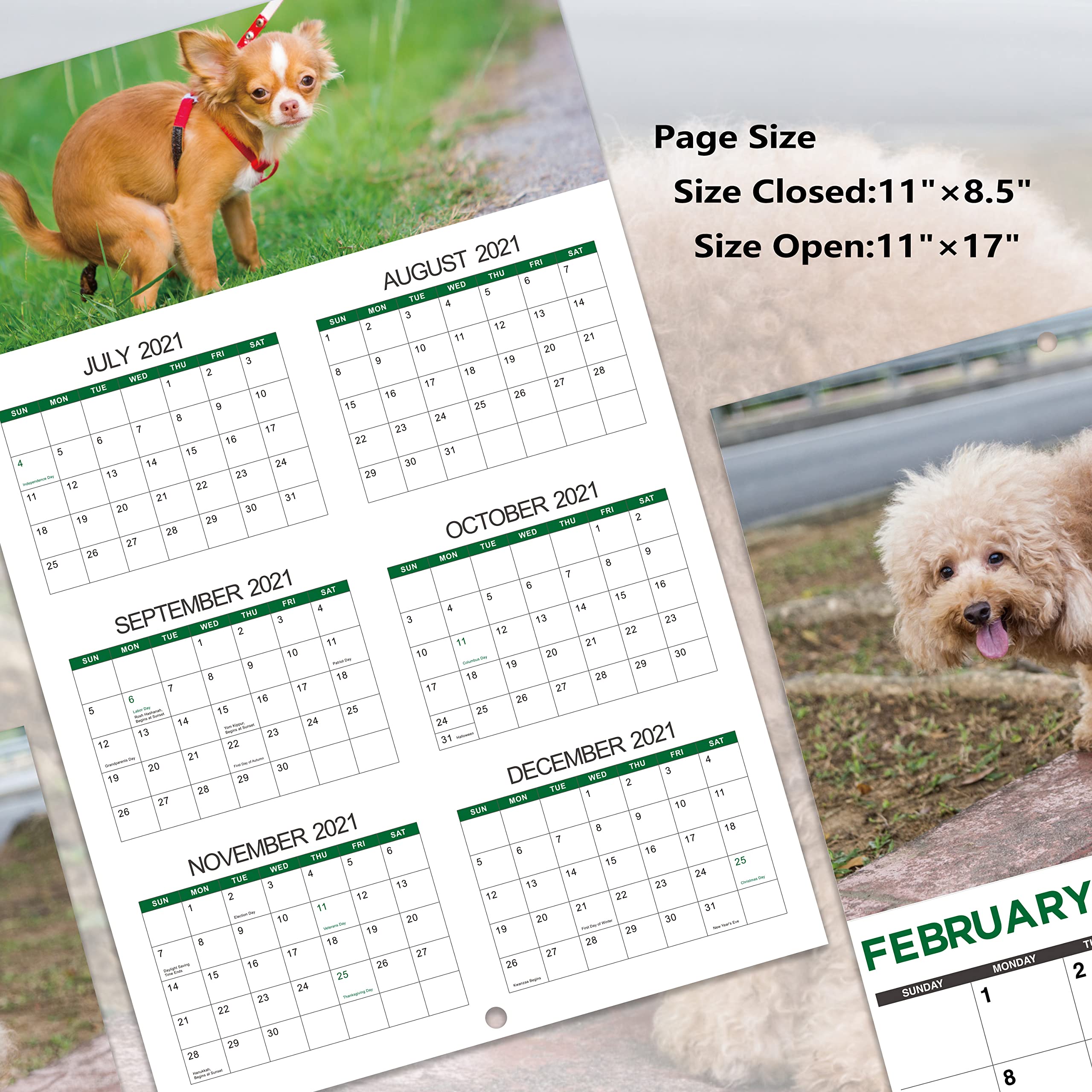 2022 Calendar Pooping Dogs Wall Calendar 2022 from Jan