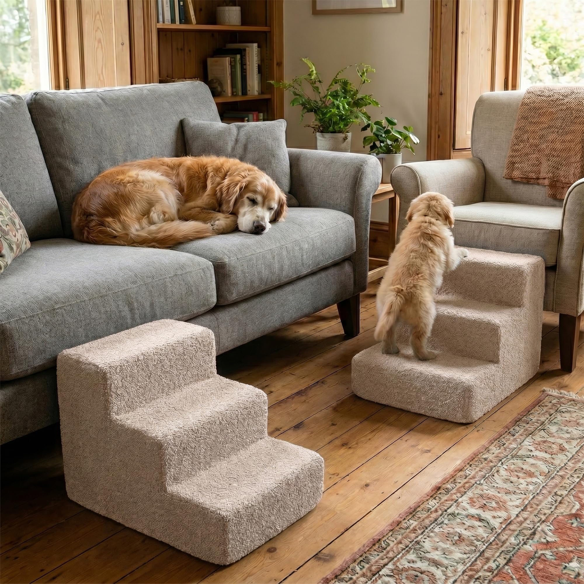 murando - Scala per Cani Piccoli - 3 Gradini - 30 cm - Scaletta per Cani e Gatti - Scale per Cane - Rampina in Schiuma con Antiscivolo per Letto Matrimoniale - Copertura Sfoderabile - Bouclé - Crema