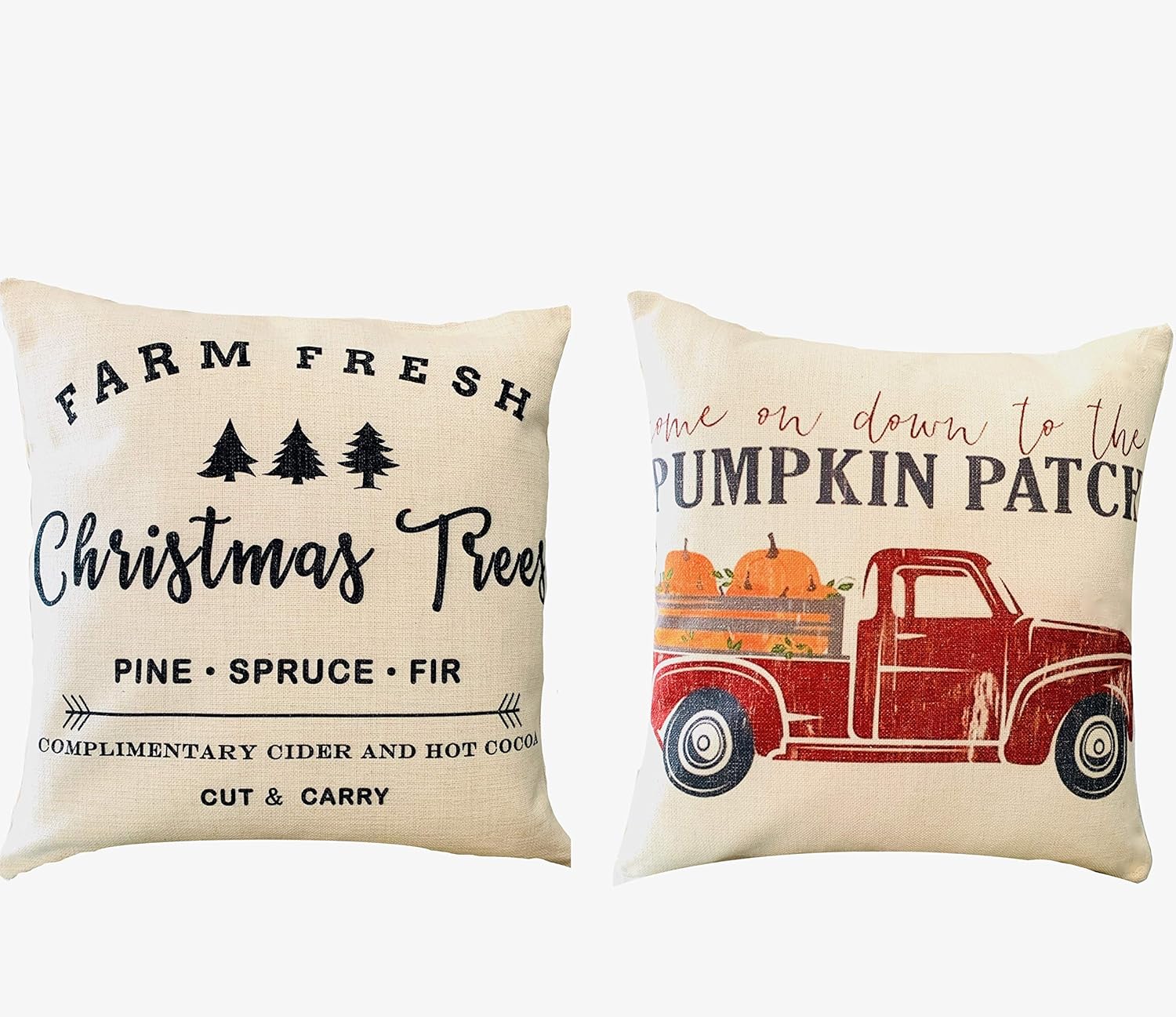 interchangeable pillow covers