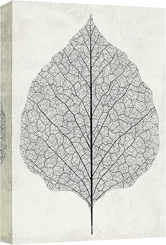 Miniatura 67 de WTD - Lienzo decorativo para pared, diseño de Giclee Flores de amapola