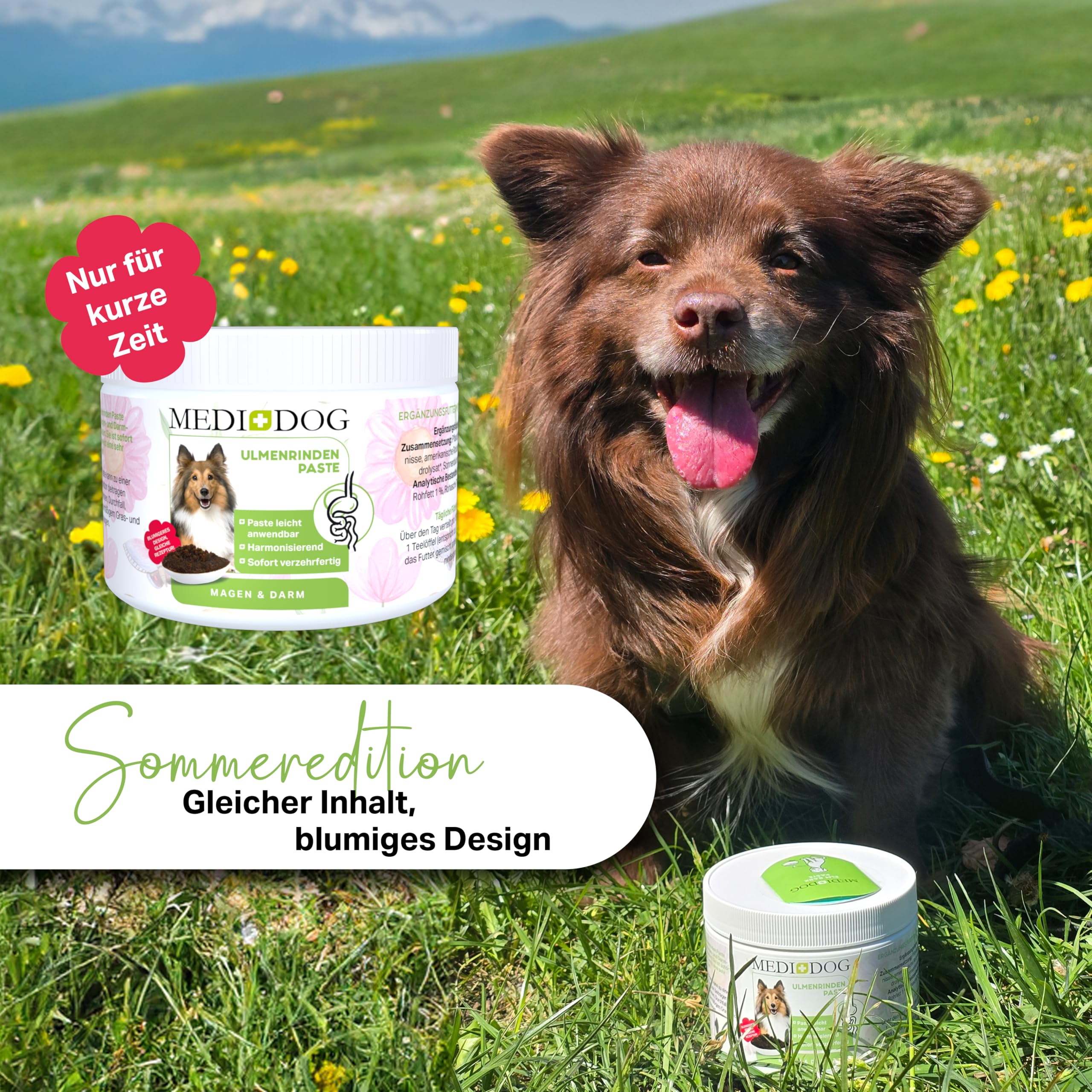 MEDIDOG 500g Premium Ulmenrinden-Paste für Hunde sofort verzehrfertig mit Slippery Elm Bark | unterstützt eine gesunde Verdauung & Normale Kotkonsistenz