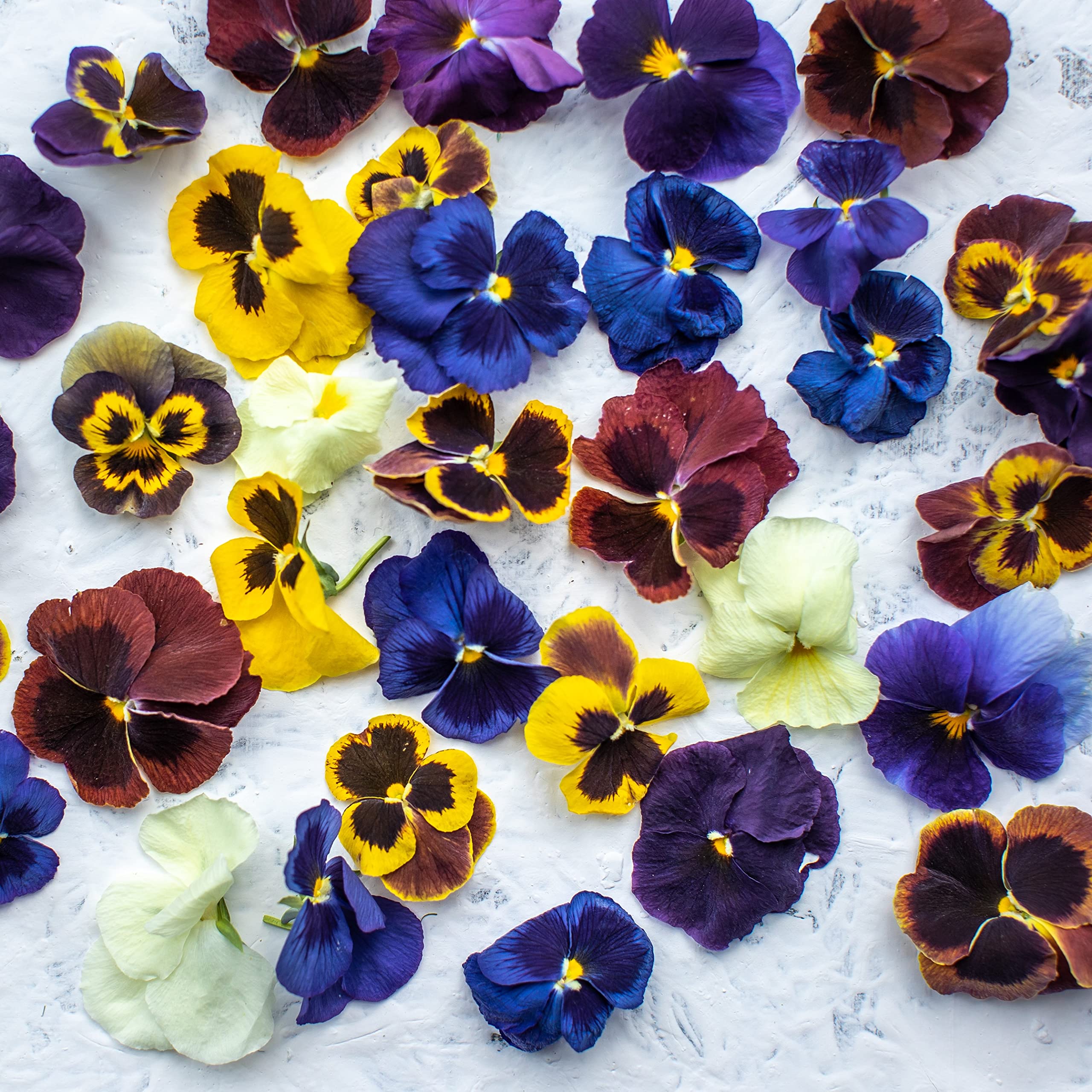 Buy Stripey Finds Edible Freeze Dried Large Viola (Pansy) Flowers