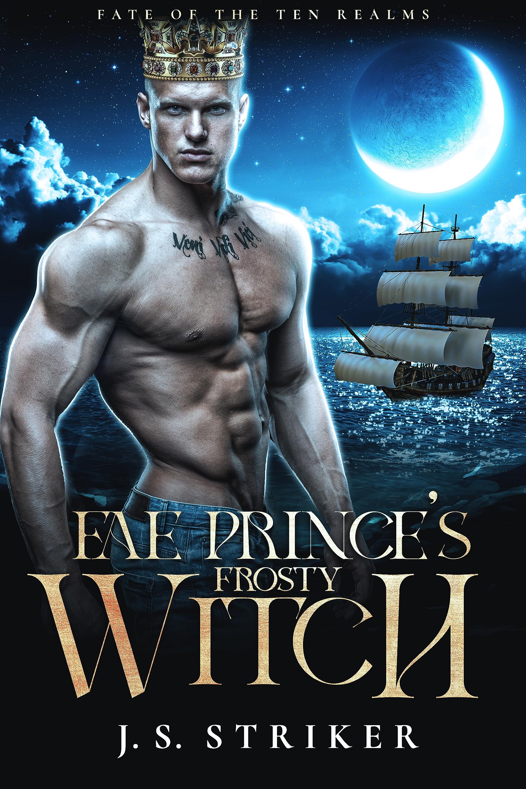 Cover of Fae Prince's Frosty Witch