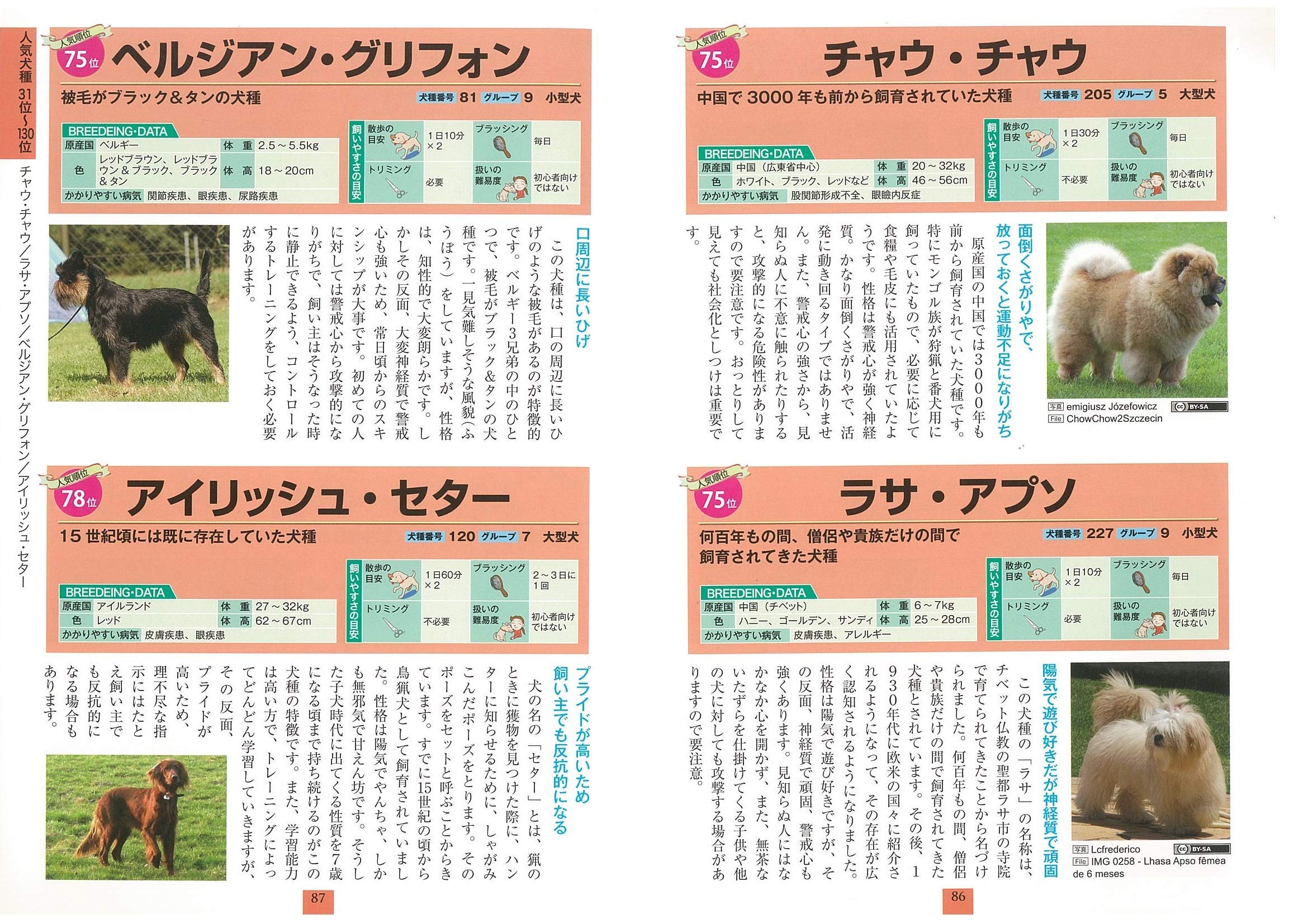 いちばんよくわかる 犬種図鑑 日本と世界の350種 コツがわかる本 奥田 香代 本 通販 Amazon