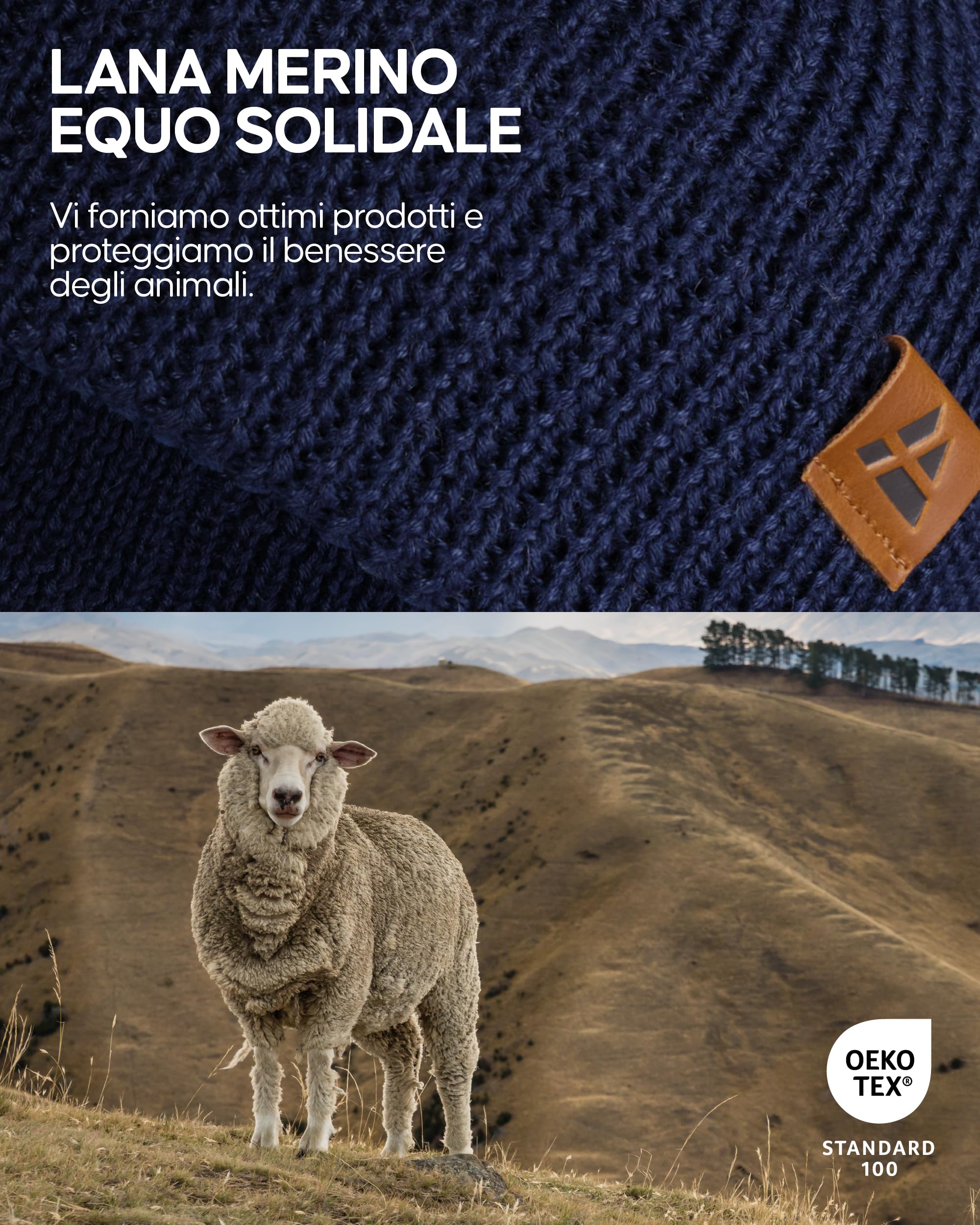 DANISH ENDURANCE Cappello Lana Merino, Berretto Beanie in Maglia Termica, da Uomo e Donna