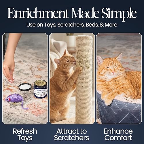 Miniatura 5 de The Cat's MeWow Hierba gatera 100% pura, todo natural, no adictivo para gatos y gatitos