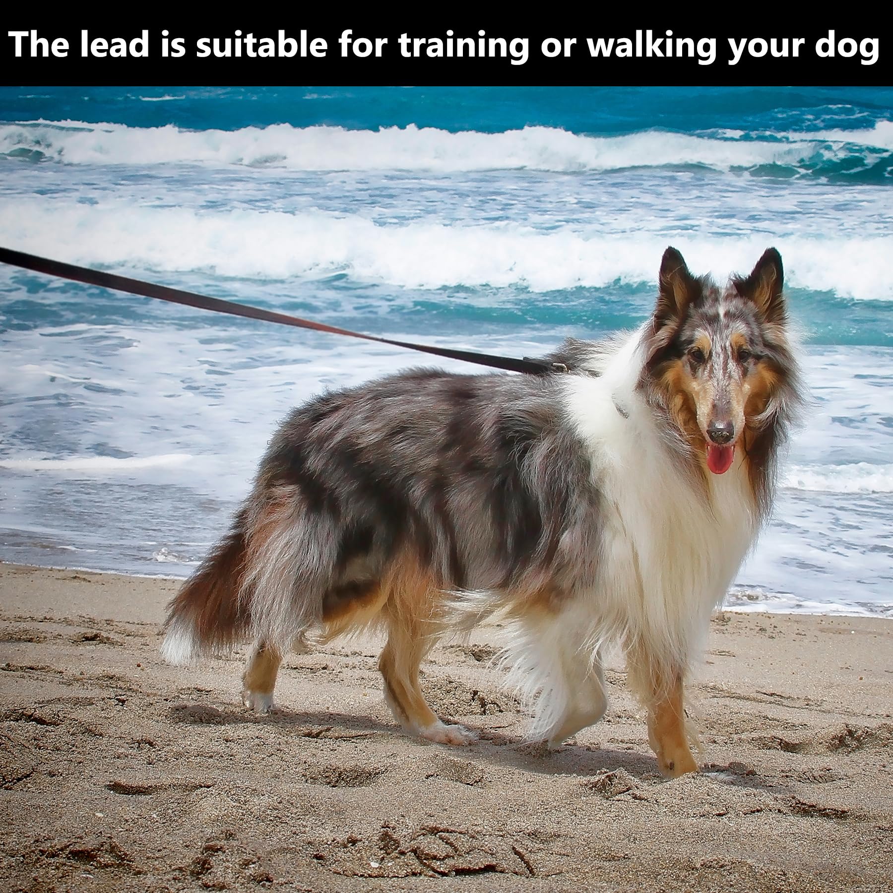 Dog Lead, 10m Waterproof & Adjustable Nylon Dog Leash with Handle and 360° Carabiner, Durable Training Lead for Small Medium - Image 3