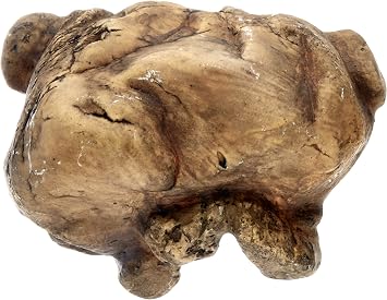 Exo Terra Reptile Cave Large, brown