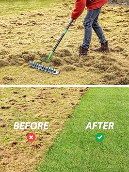 Thatch Rake, Garden Dethatcher Rakes for Lawns Heavy Duty, Metal Thatcher with Double-Sided Sharp Rake Head for Dead Grass Moss Remove, Loosen Soil, 53 Manual Thatching Tool for Gardening, Yard