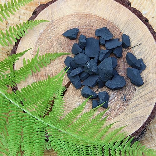Miniatura 6 de Karelian Heritage Piedras de shungita crudas para purificación y filtrado de agua de 0.4 libras Cristal curativo crudo con propiedades