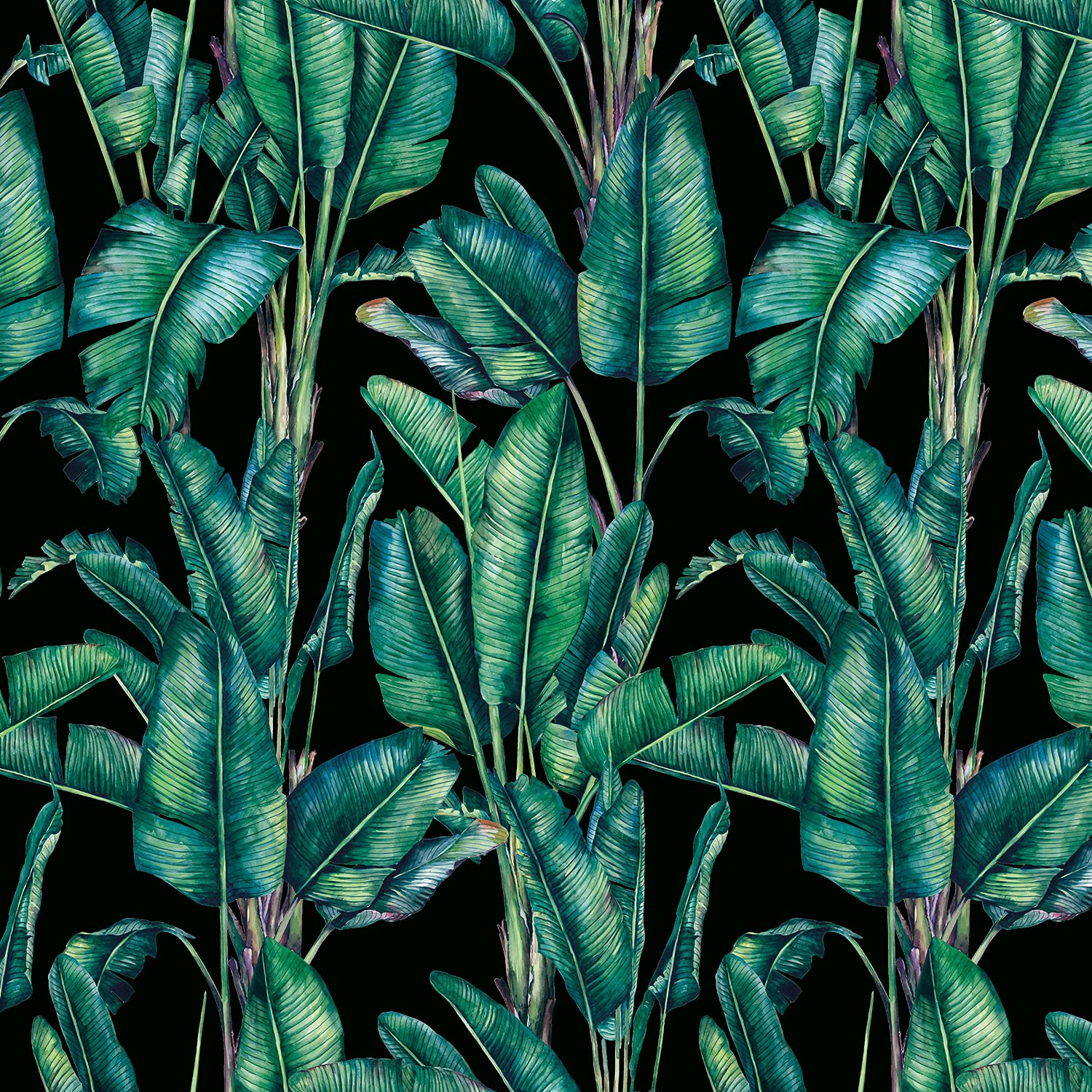 Discount Fabrics Ltd Paradise - Cvl014 - Black Velvet Upholstery Fabric Curtain Plush Tropical Botanical Paradise Rainforest (, Per Half Metre)