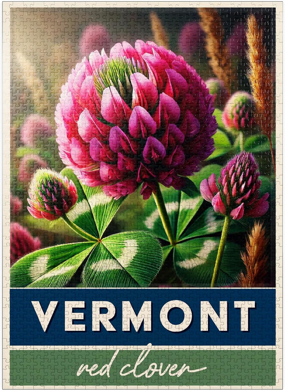 MyPuzzle State Flowers Series: Vermont, Red Clover - Premium 500 Piece Jigsaw Puzzle for Adults