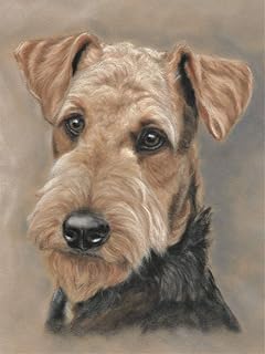 Large Airedale terrier art print dog poster of original painting by Tracey Earl, Size A3 unframed.
