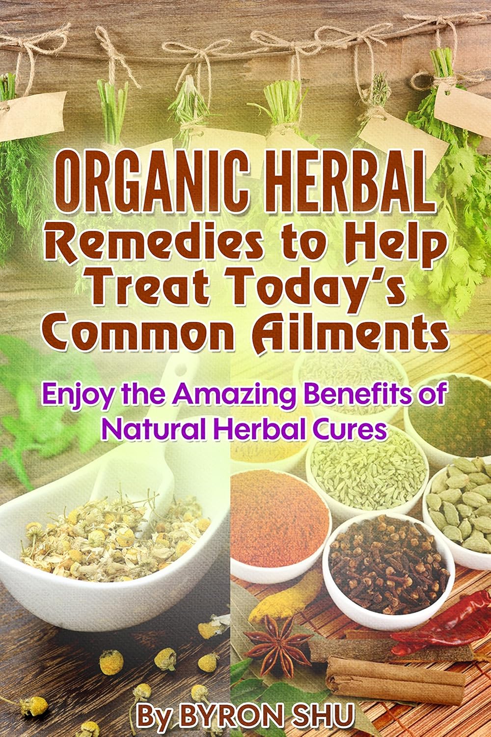 Organic Herbal Remedies to Help Treat Today’s Common Ailments Enjoy