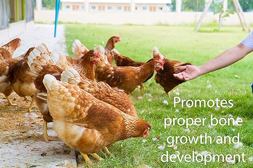 Vista 10 de Alfalfa Heno Alimento Mascotas Pequeñas Jóvenes y Adultos Pellets 5 libras