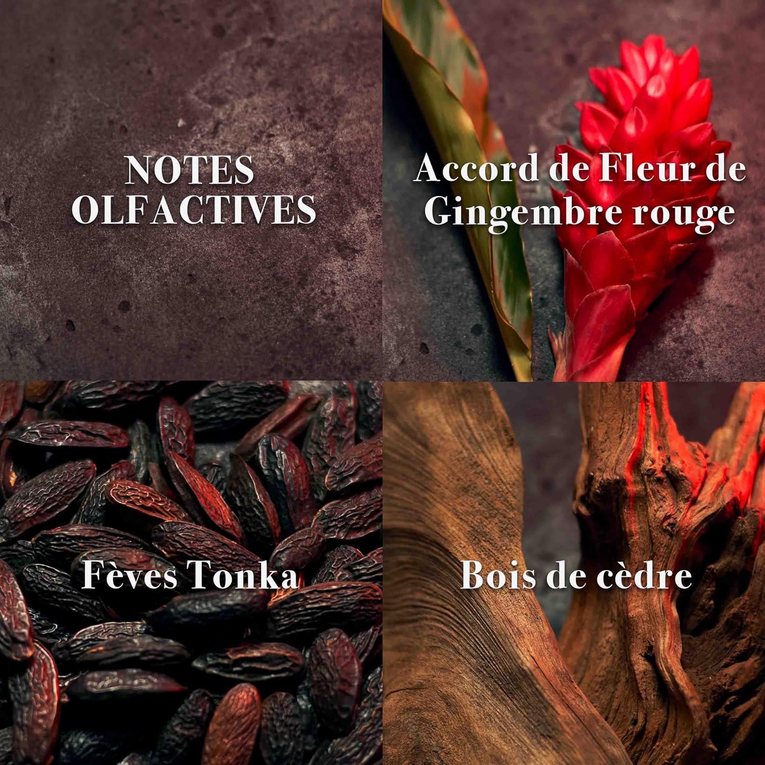 John Varvatos XX Intense Eau de Parfum 2-Piece Fragrance Gift Set, Includes EDP Spray & Travel Size Men's Cologne, Woody Oriental Scent with Notes of Cardamom, Orange Flower & Sandalwood, 4.2 fl oz - Image 3