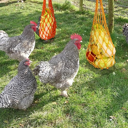 Miniatura 2 de 4 piezas de pollo, bolsa de cuerda de verduras de aves de corral, soporte de frutas y pollo, alimentador de repollo, herramienta de alimentación con
