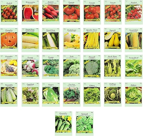 Juego de 30 semillas de vegetales y hierbas - semi surtidas - 100% sin OMG y herencia - ideal para comenzar un jardín. Alta tasa de germinación (30)