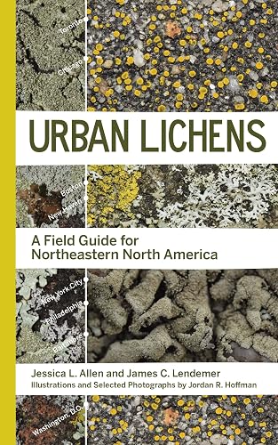 Urban Lichens: A Field Guide for Northeastern North America