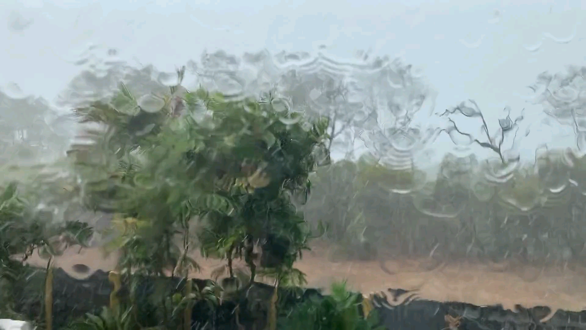 Deep Sleep & Relaxation With Heavy Rain On Tile Roof Study, Relax