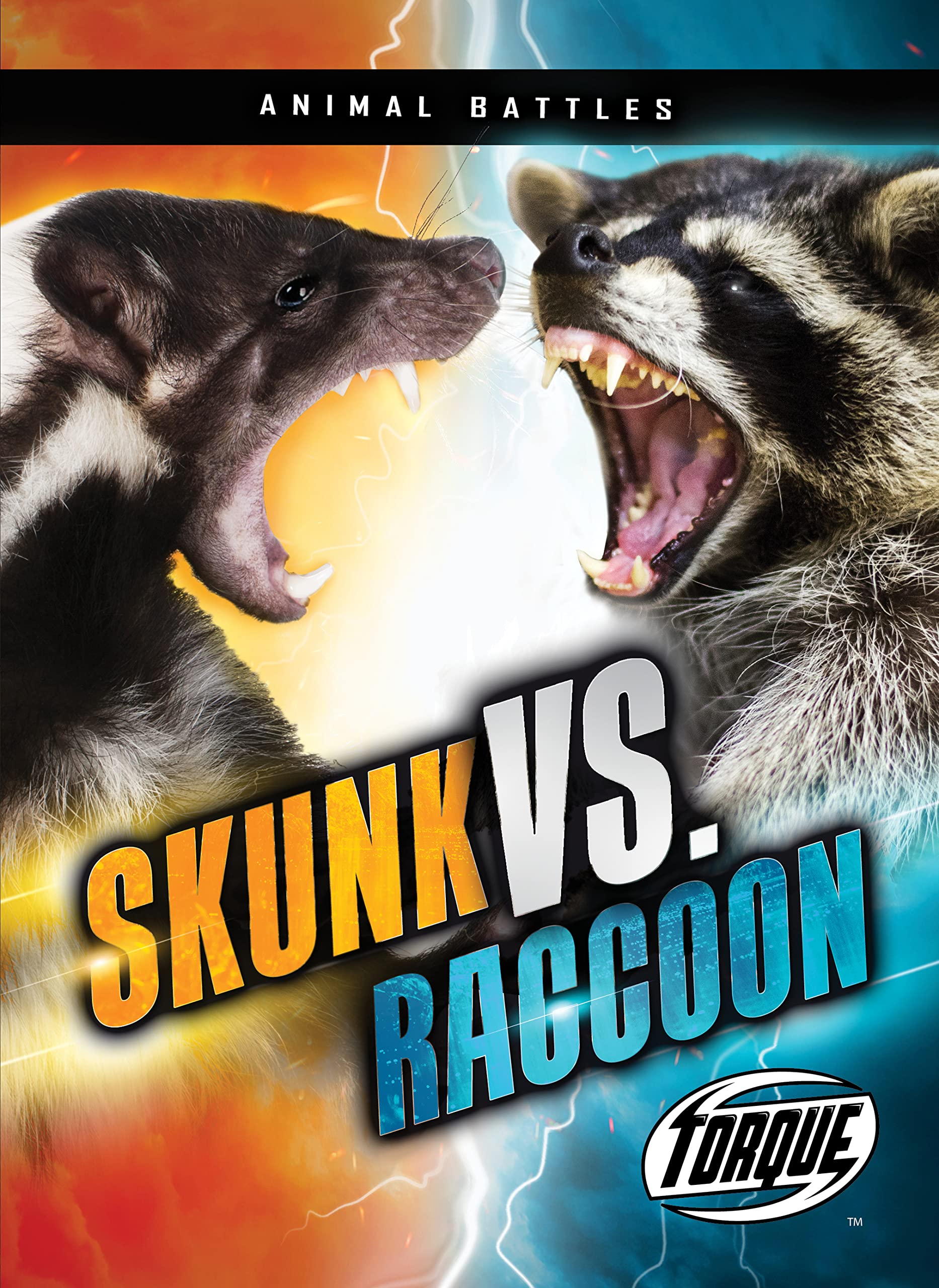 Skunk Vs. Raccoon