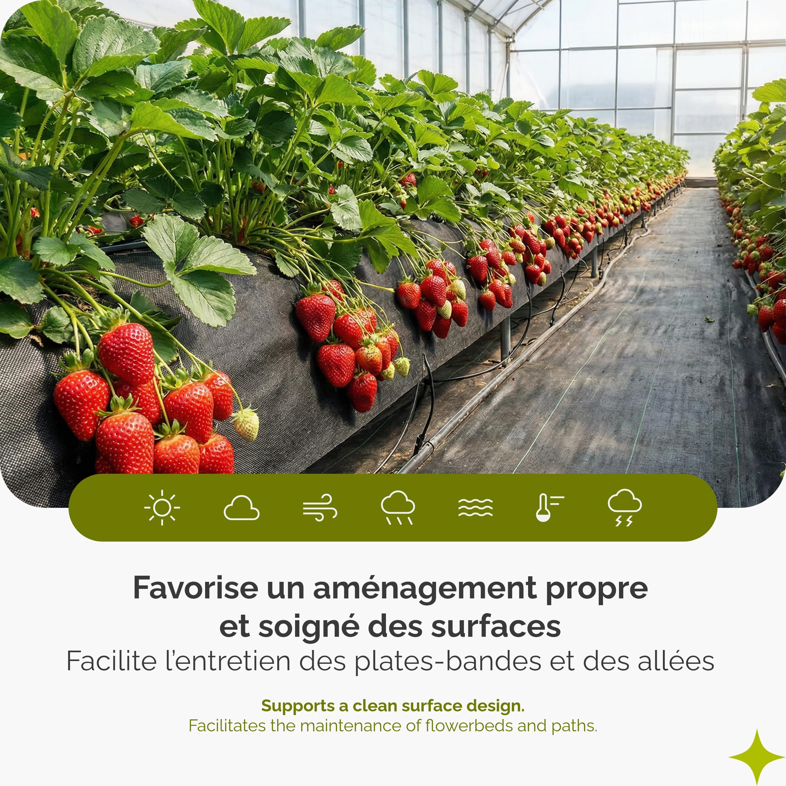 Garronda Toile de Paillage 150g/m² Geotextile 1,6m x 10m 16m² Noir GD-0177 | Toile Anti Mauvaises Herbes, Géotextile Jardin, Stabilisé UV, Perméable à l'Eau, Résistant à la Déchirure pour Gravier Allées