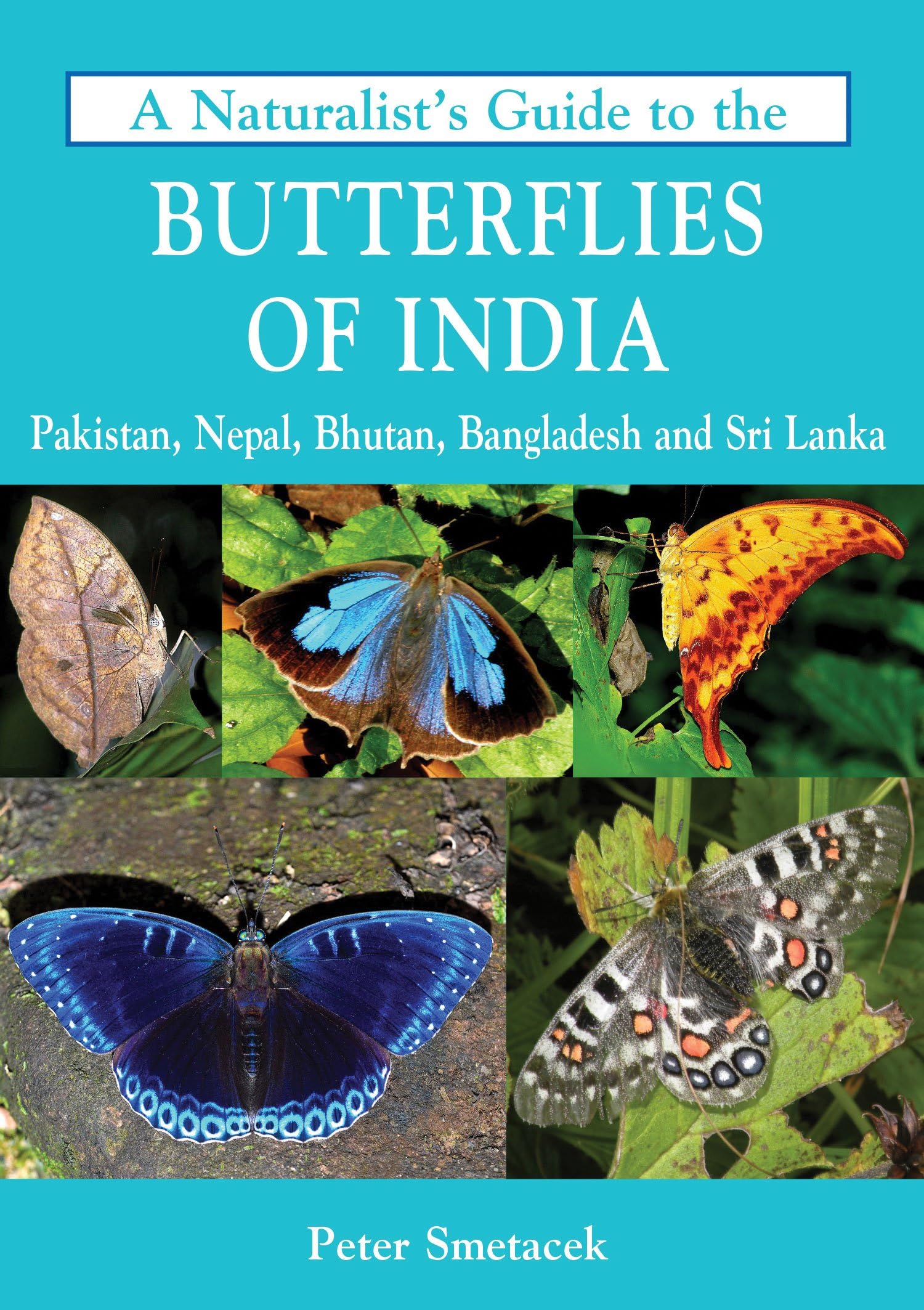 - A Naturalist'S Guide To The Butterflies Of India
