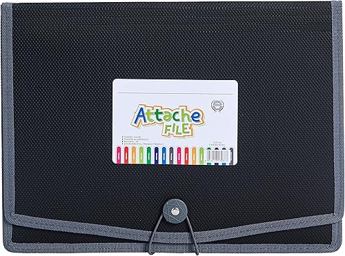 Miniatura 3 de FANWU Paquete de 4 carpetas de plástico expandibles para documentos con cordón elástico y cierre de botón, tamaño carta, expansión de 3.5 pulgadas,