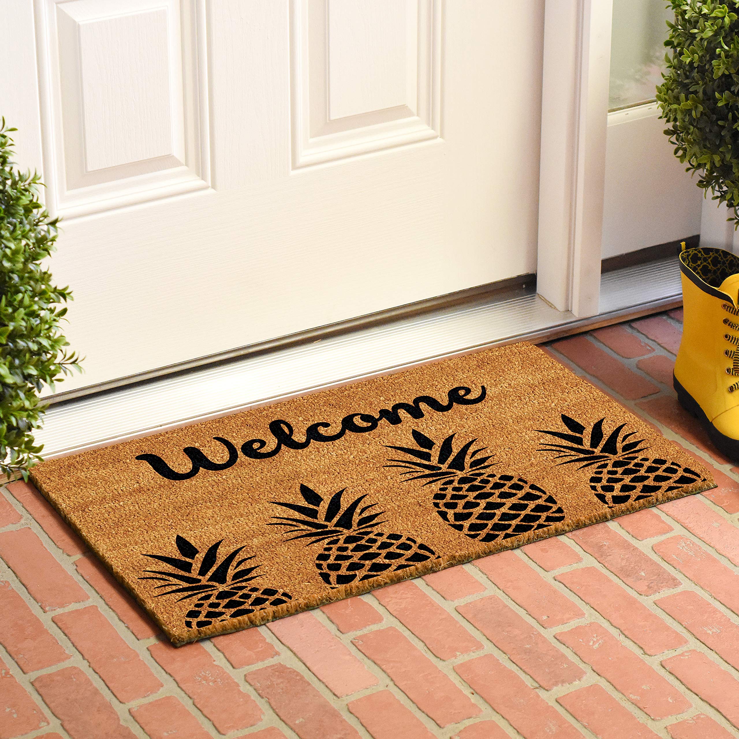 Calloway Mills AZ104991729 Pineapple Express Doormat, 17