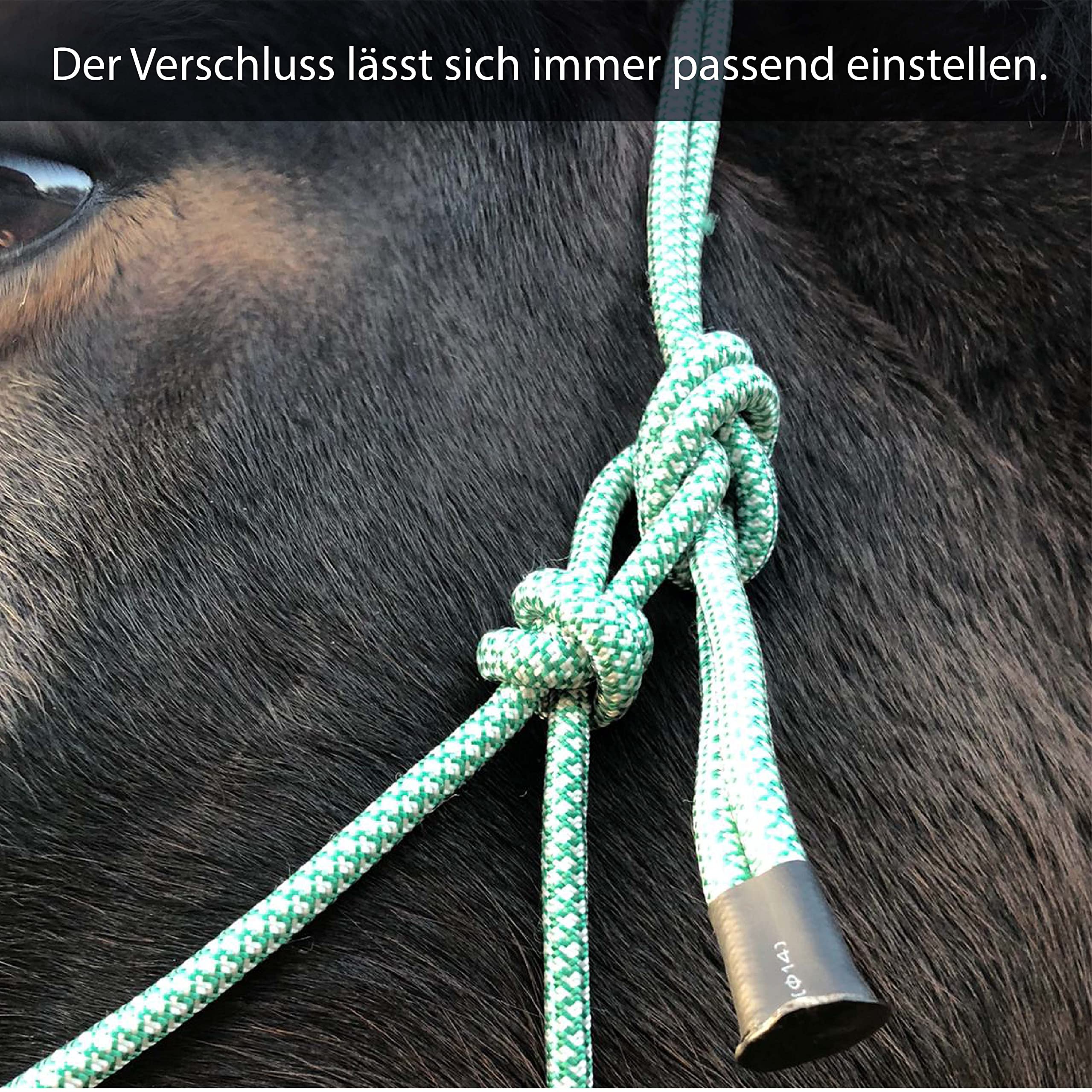 Harnais De Conduite Double En Cuir Noir - Anatomique Pour Cob Livraison Rapide Dhl Sous 958210