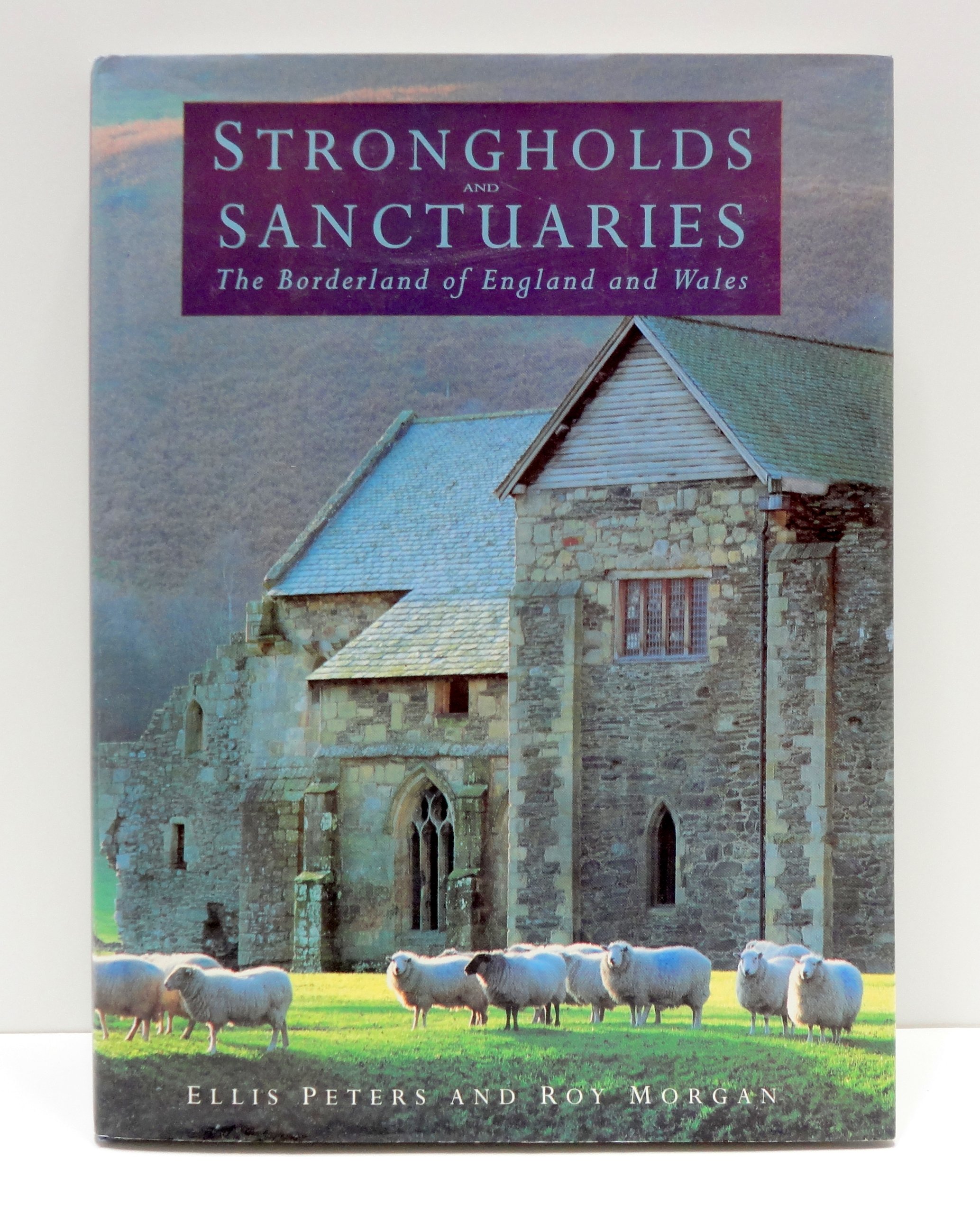 Strongholds and Sanctuaries: The Borderland of England and Wales (General history)
