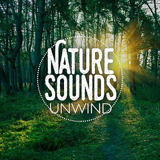 Deep Nature Sounds Ambient Outdoors - Relax Study Sounds Zen 432 Hz Music for Deep Sleep ~ Healing Frequency - Fire Tv Fire Tablet