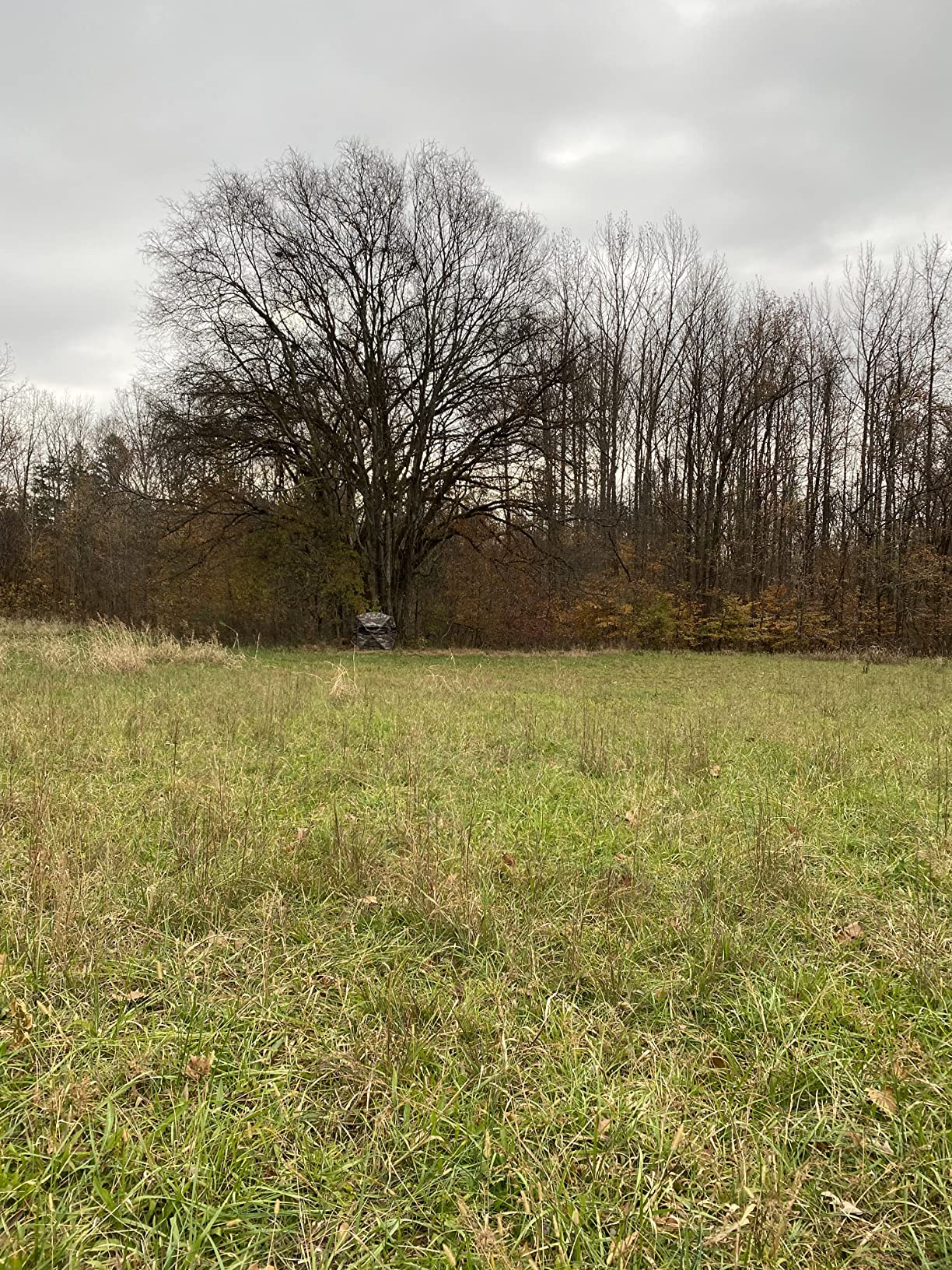 25/mo Finance PRIMAL Treestands Wraith 270 Deluxe Blind 270 Degree