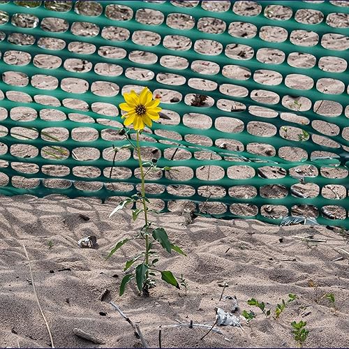 Miniatura 5 de BISupply Cercas temporales de 4 x 500 pies para patio, rollo de esgrima de plástico verde para exteriores, para perros, jardín y eventos