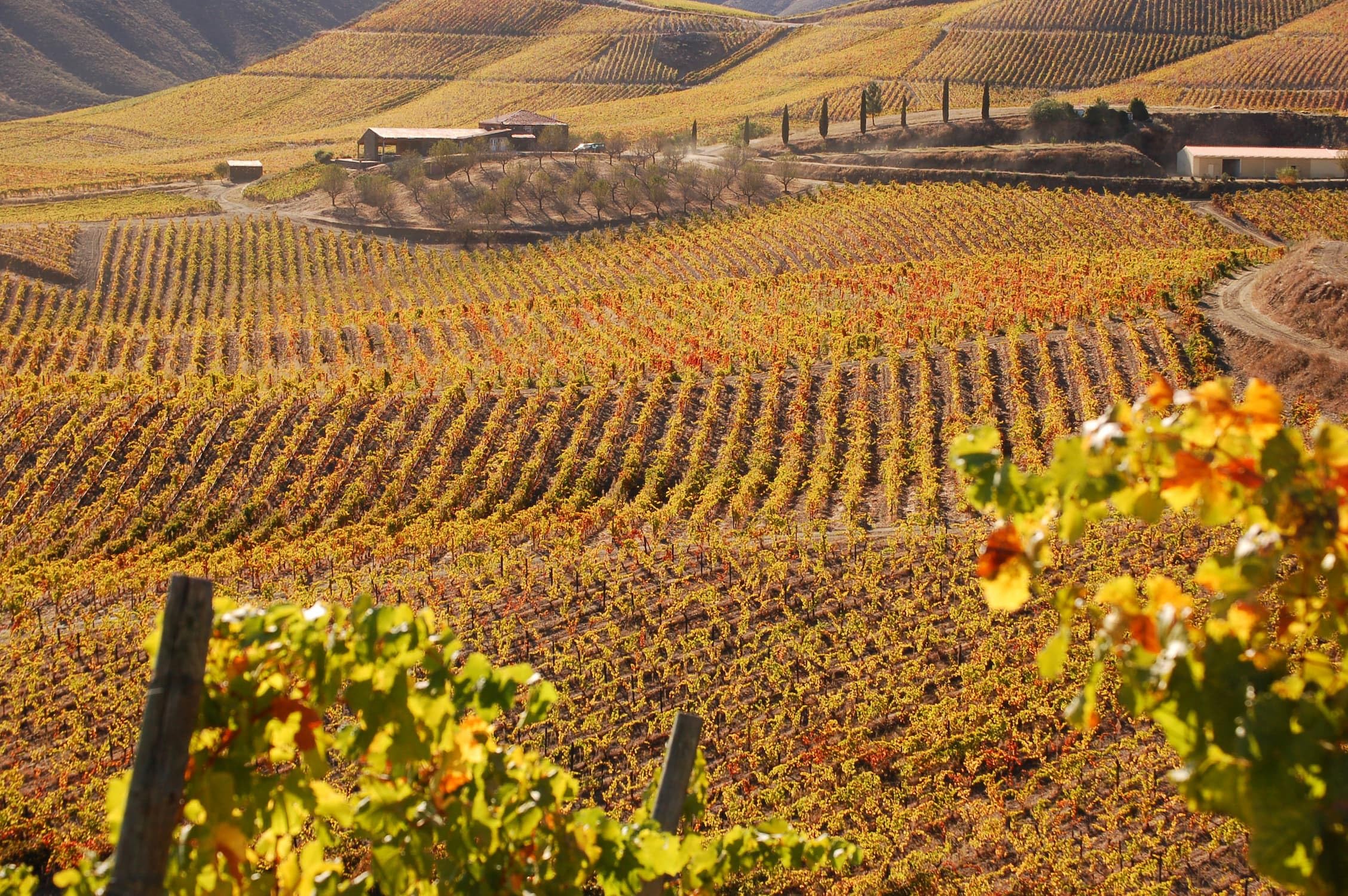 Adriano Ramos Pinto - Quinta do Bom Retiro 20 years Tawny Port