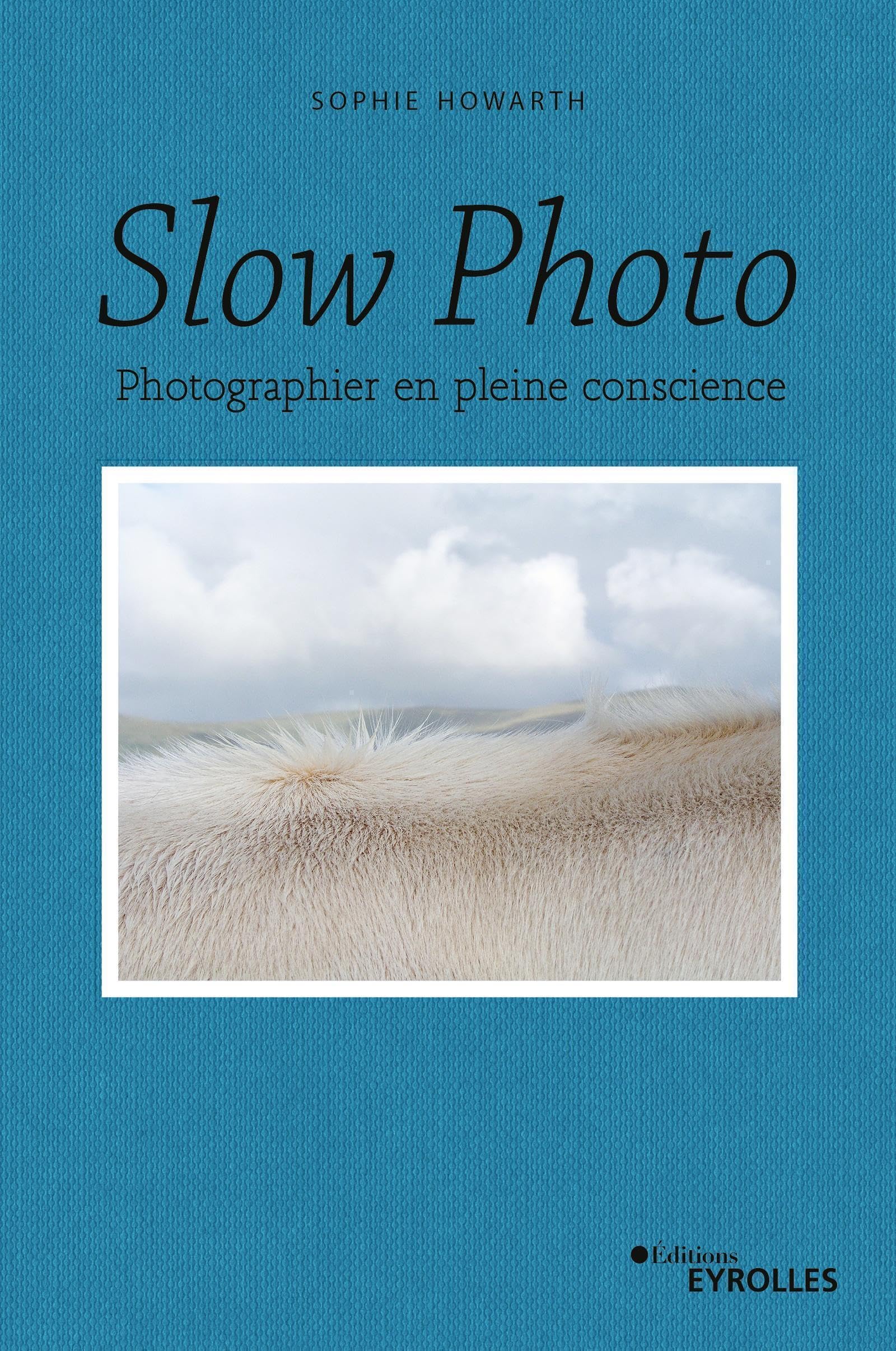 Photographier en pleine conscience durant vos balades nature avec le slow photo