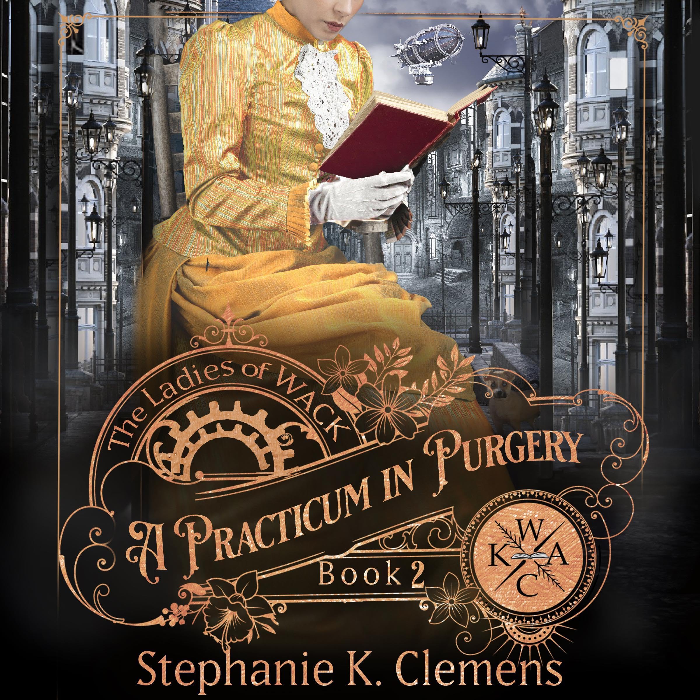 Cover art for A Practicum in Perjury