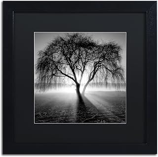Framed Wall Art - Moises Levy 'Lightning Tree I' Wall Decor with Matted Frame by Trademark Fine Art