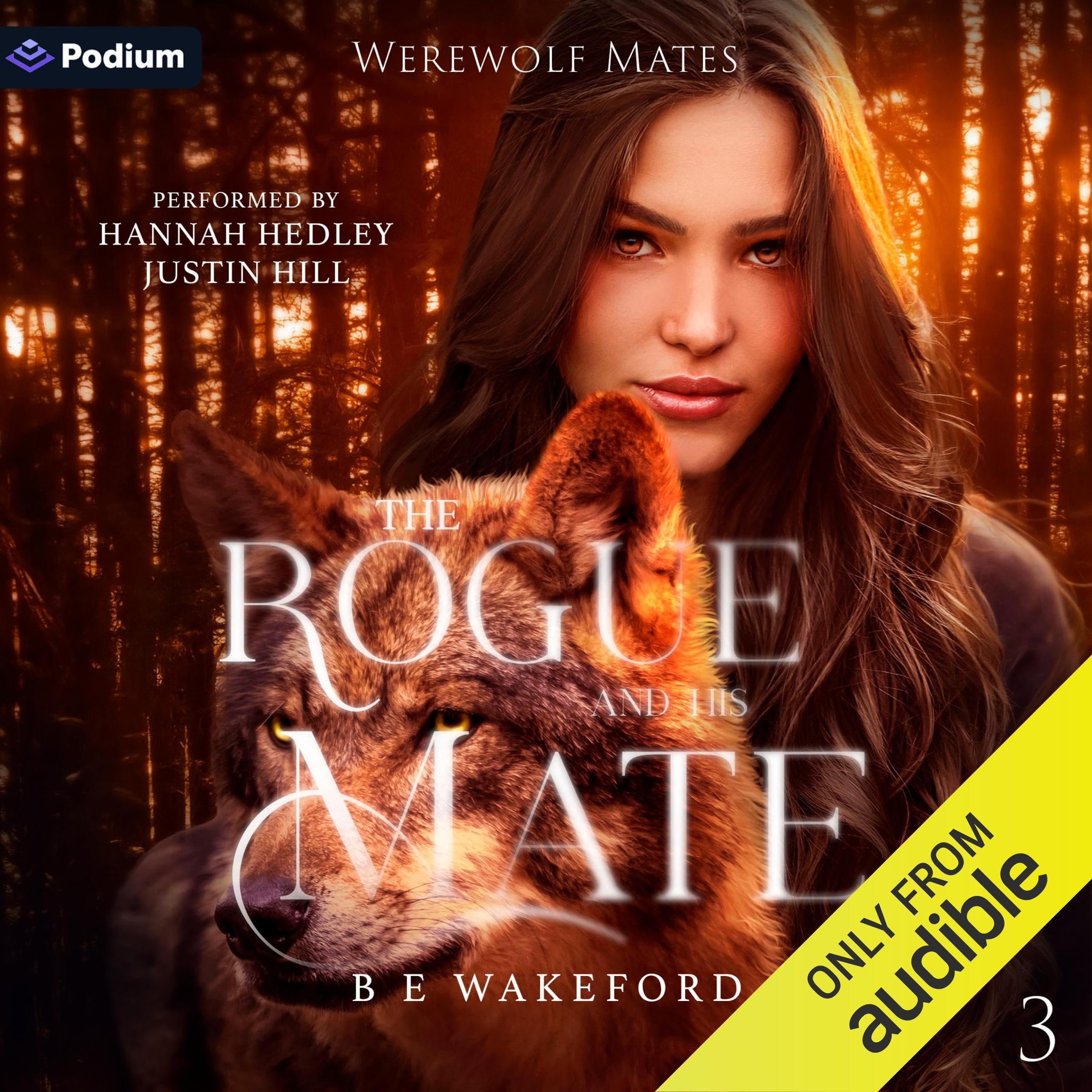 Cover art for The Rogue and His Mate