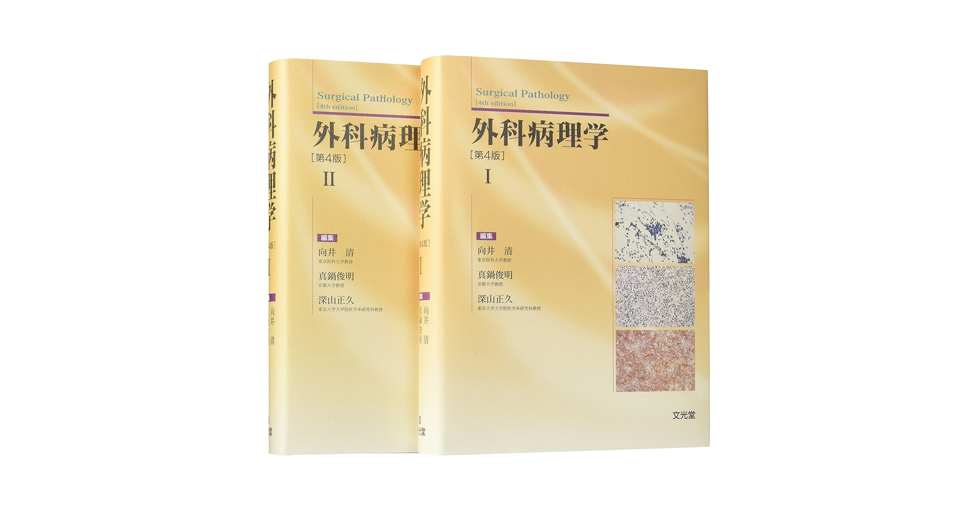 外科病理学入門: パタ-ン分類による診断へのアプロ-チ 検査・診断（尿路上皮癌） | 領域情報 | アステラスメディカルネット