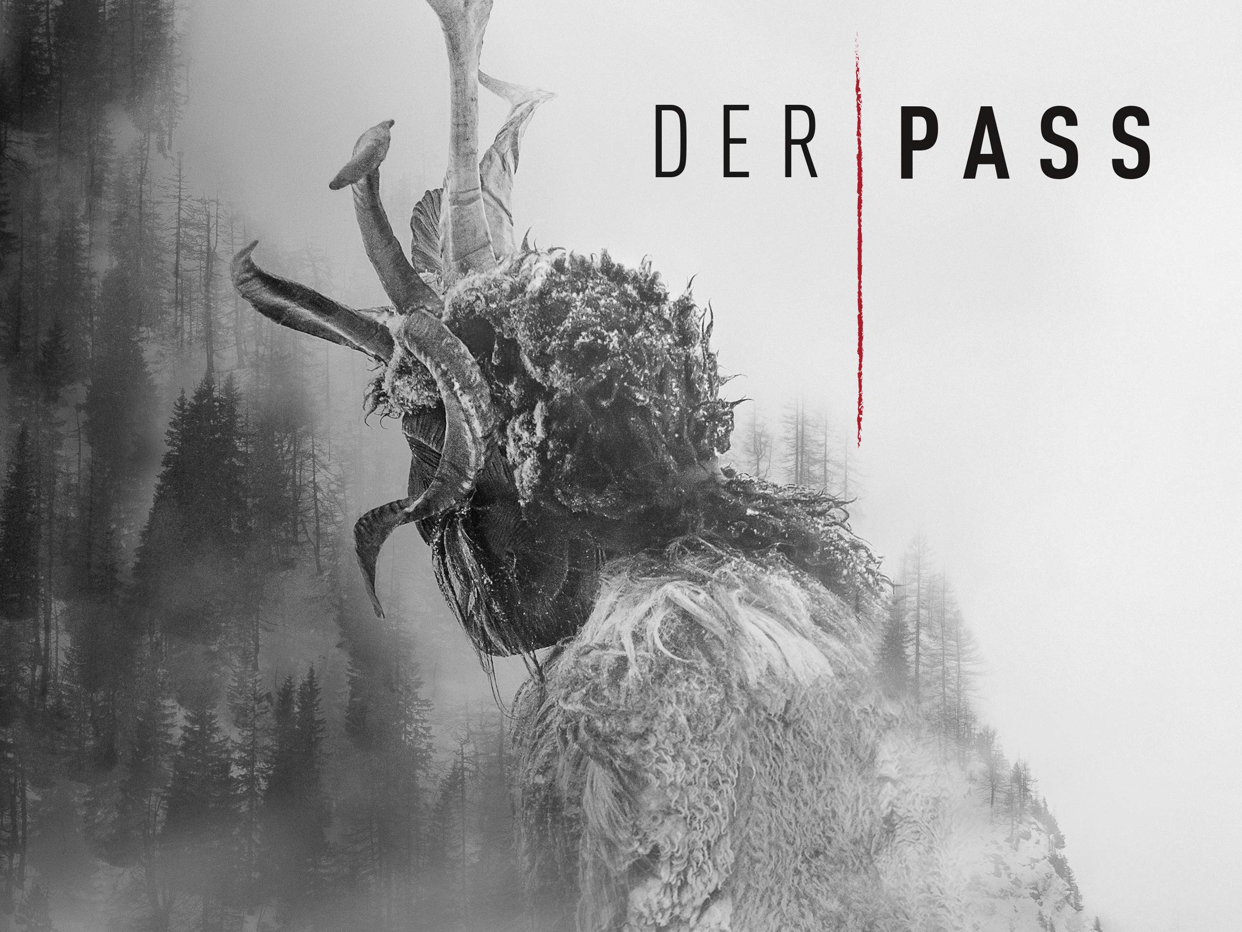 Der Pass