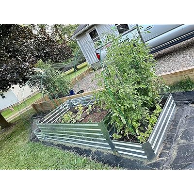 Jobe'sOrganics Jobes Tomato Fertilizer Spikes 6-18-6 Time Release India |  Ubuy