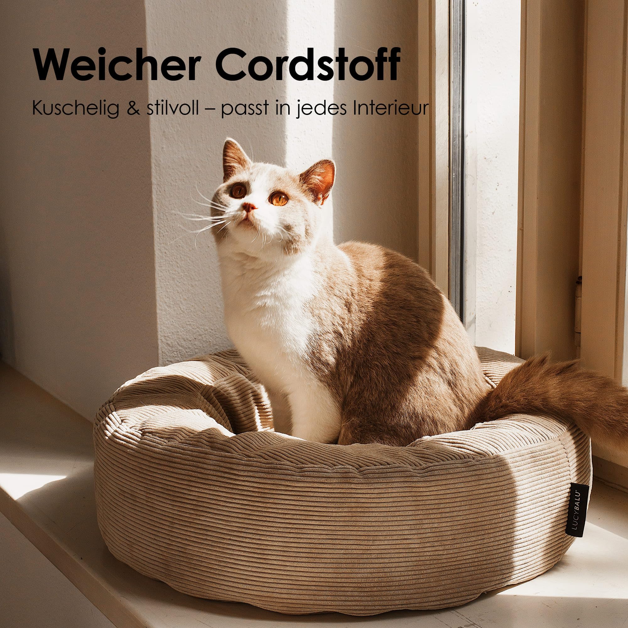 LucyBalu® Nest Katzenbett rund aus Cord I kompakter Schlafplatz zum Einkuscheln I waschbar mit abnehmbarem Bezug I Ø 55 cm für Kitten & kleinere Rassen I Sand