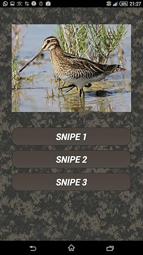 Bird hunting calls