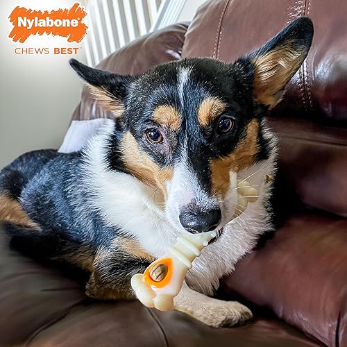 Miniatura 3 de Nylabone Power Chew - Paquete de juguete en forma de nudillo y con golosinas, juguete resistente para perros agresivos y bolsa para golosinas, sabor