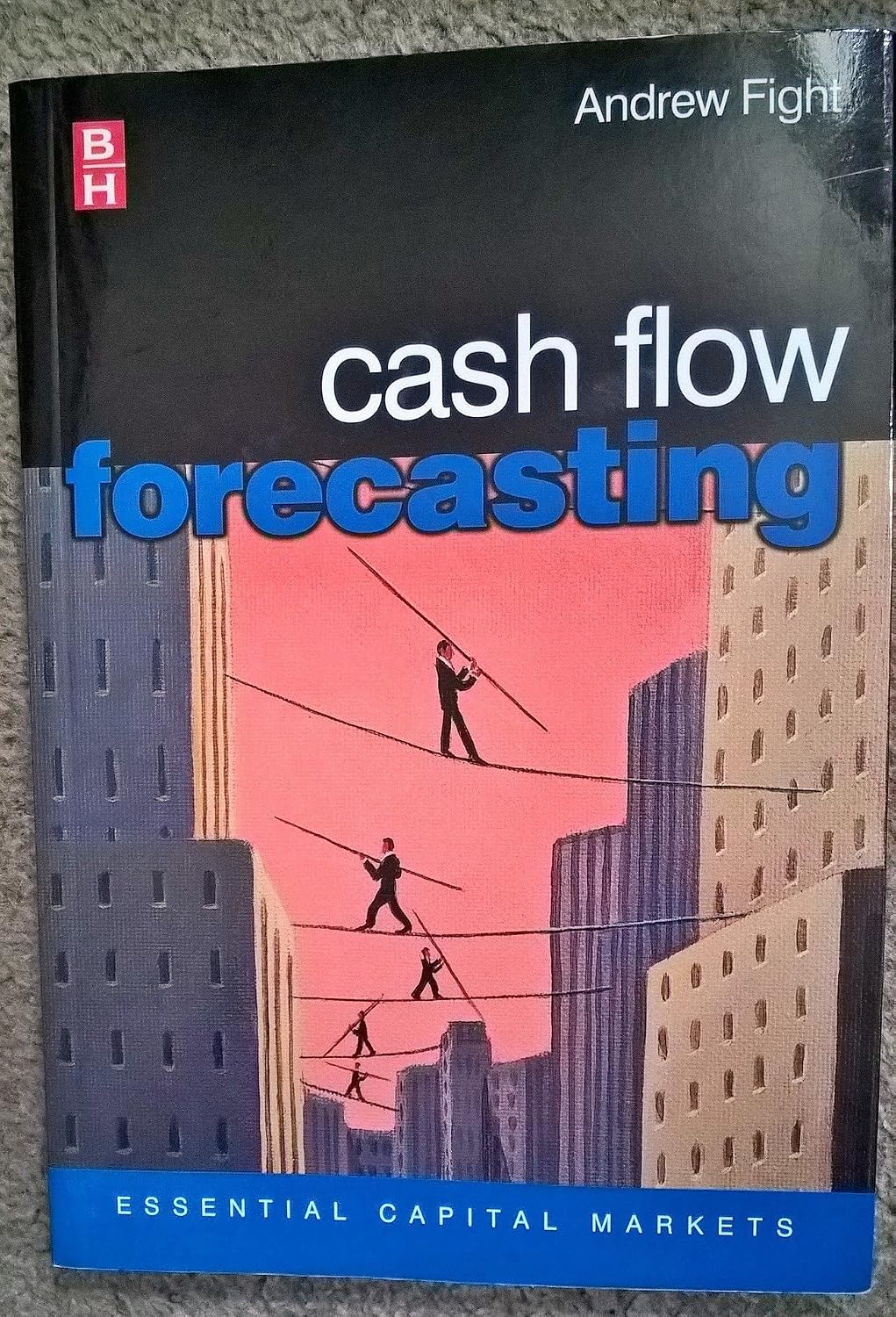 Cash Flow Forecasting (Essential Capital Markets)
